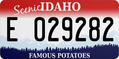 ID license plate E029282