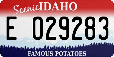 ID license plate E029283