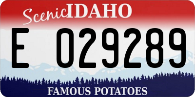 ID license plate E029289