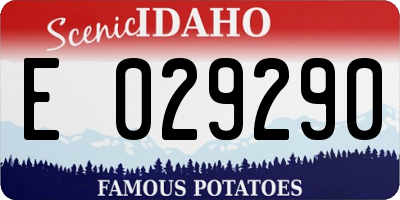 ID license plate E029290