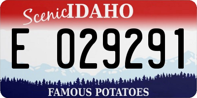 ID license plate E029291