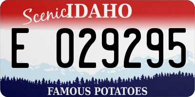 ID license plate E029295