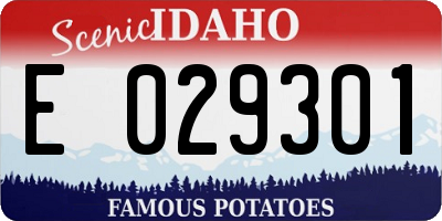 ID license plate E029301