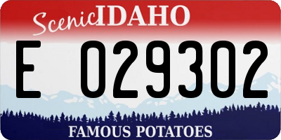 ID license plate E029302