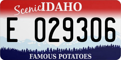 ID license plate E029306