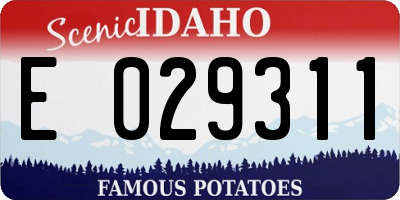 ID license plate E029311