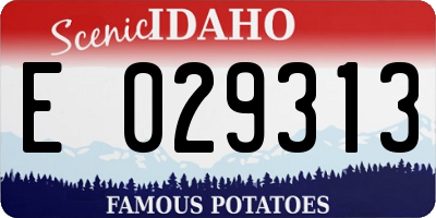 ID license plate E029313