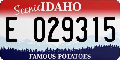 ID license plate E029315