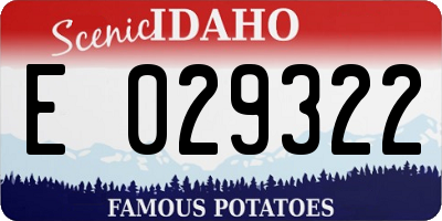 ID license plate E029322
