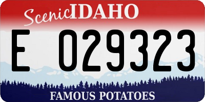 ID license plate E029323