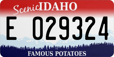 ID license plate E029324