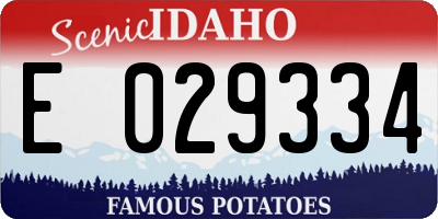 ID license plate E029334