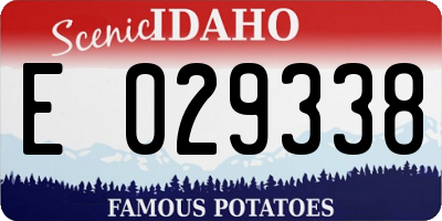 ID license plate E029338