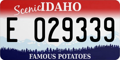 ID license plate E029339