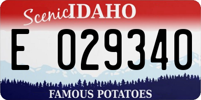 ID license plate E029340