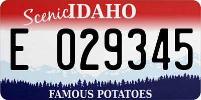 ID license plate E029345