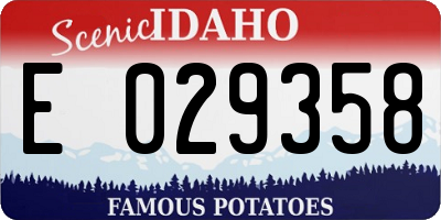 ID license plate E029358