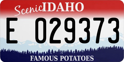 ID license plate E029373