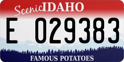 ID license plate E029383