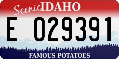 ID license plate E029391