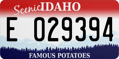 ID license plate E029394