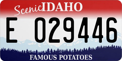 ID license plate E029446