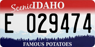 ID license plate E029474