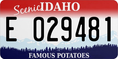 ID license plate E029481