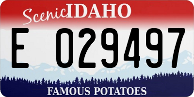 ID license plate E029497