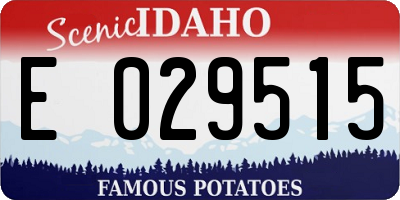 ID license plate E029515