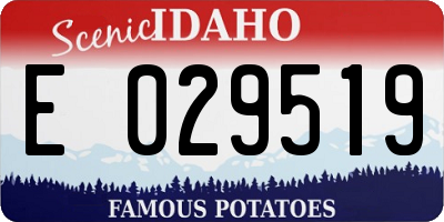 ID license plate E029519