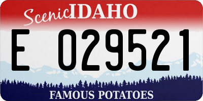 ID license plate E029521