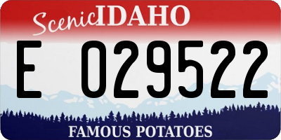 ID license plate E029522