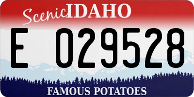 ID license plate E029528