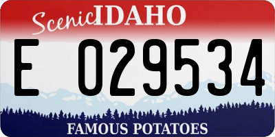 ID license plate E029534