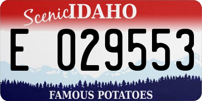 ID license plate E029553