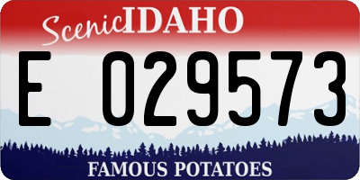 ID license plate E029573