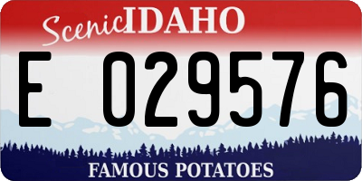 ID license plate E029576