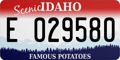 ID license plate E029580