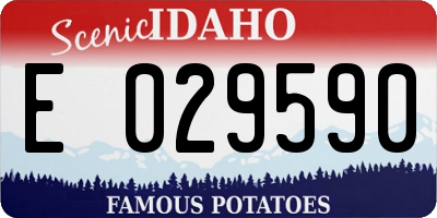 ID license plate E029590