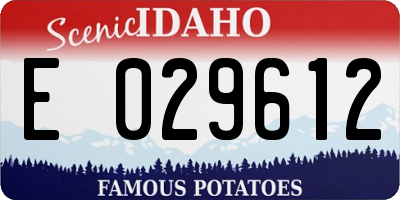 ID license plate E029612