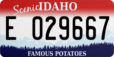 ID license plate E029667