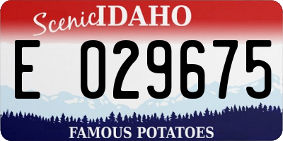 ID license plate E029675