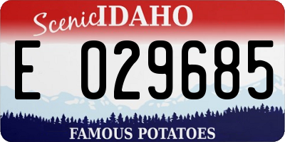 ID license plate E029685