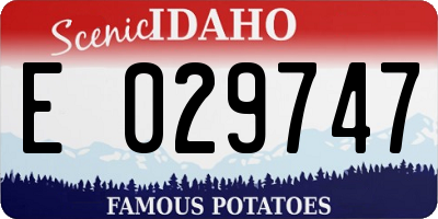 ID license plate E029747