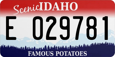 ID license plate E029781