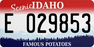 ID license plate E029853