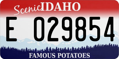 ID license plate E029854