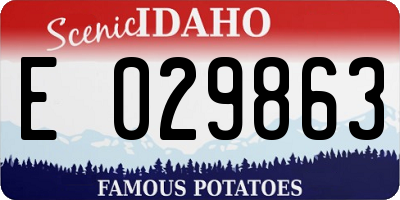 ID license plate E029863