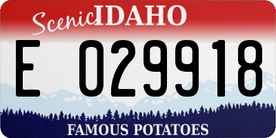 ID license plate E029918